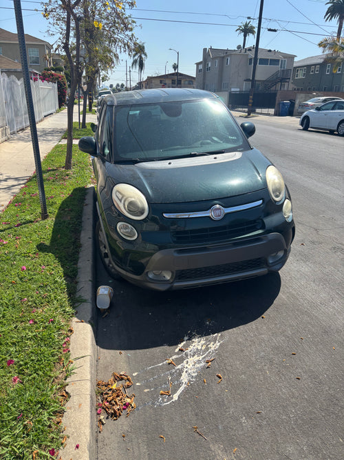 2015 Fiat 500L Trekking - Existing Issues - Clearly Disclosed